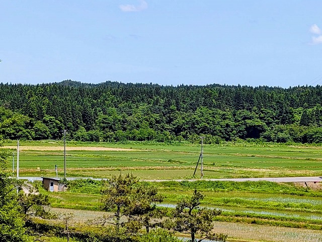 写真：風景
